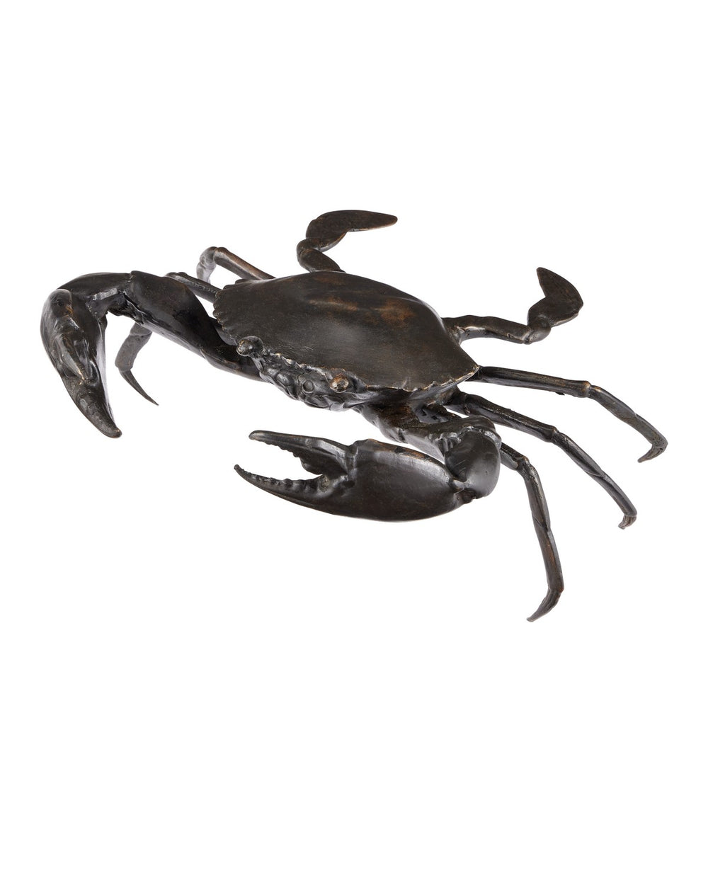 Currey and Company - Crab - Crab Bronze - Dark Brown- Union Lighting Luminaires Decor