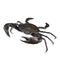 Currey and Company - Crab - Crab Bronze - Dark Brown- Union Lighting Luminaires Decor