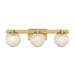 Savoy House - Three Light Bathroom Vanity - Darien - Warm Brass- Union Lighting Luminaires Decor