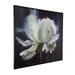 Uttermost - Wall Art - Peony - Black- Union Lighting Luminaires Decor