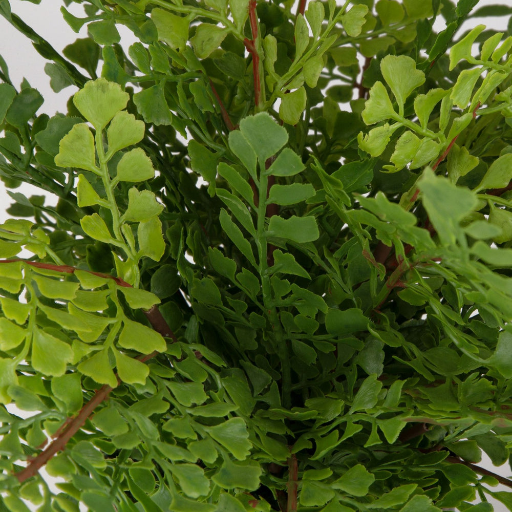 Uttermost - Container - Maidenhair Fern - Gold- Union Lighting Luminaires Decor