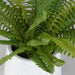 Uttermost - Ceramic Pot - Boston Fern - White- Union Lighting Luminaires Decor
