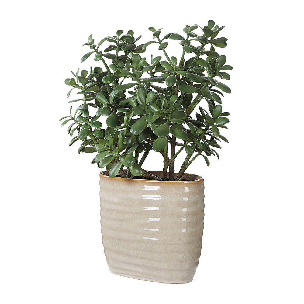 Uttermost - Accent Plant - Crassula Jade - Textured Tan- Union Lighting Luminaires Decor