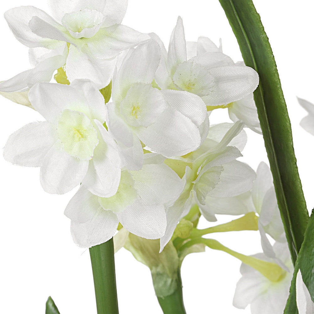 Uttermost - Accent Arrangement - Lacey Daffodil - Paperwhite- Union Lighting Luminaires Decor