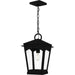 Quoizel - One Light Mini Pendant - Huck - Earth Black- Union Lighting Luminaires Decor
