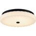 Quoizel - LED Flush Mount - Quoizel Flush Mount - Matte Black- Union Lighting Luminaires Decor