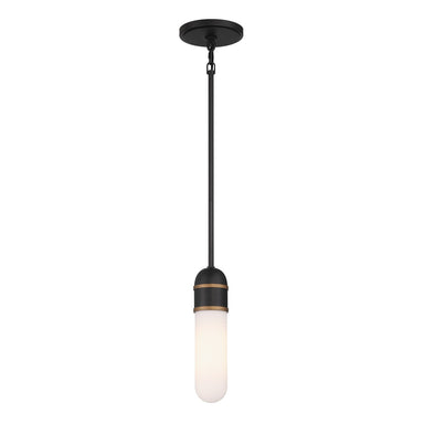 Crystorama - LED Mini Pendant - Capsule - Matte Black + Textured Gold- Union Lighting Luminaires Decor