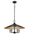 Z-Lite Canada - Five Light Pendant - Rialto - Matte Black- Union Lighting Luminaires Decor