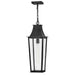 Hinkley Canada - LED Hanging Lantern - Georgetown - Black- Union Lighting Luminaires Decor