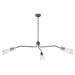 Hinkley Canada - LED Chandelier - Altman - Gunmetal- Union Lighting Luminaires Decor
