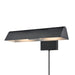 DVI Canada - Two Light Picture Light - Carlyle - Ebony- Union Lighting Luminaires Decor
