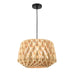 DVI Canada - One Light Pendant - Lac St-Jean - Black- Union Lighting Luminaires Decor