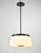 DVI Canada - 16"Pendant - Robson Hall - Ebony- Union Lighting Luminaires Decor