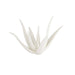Arteriors - Sculpture - Zaloe - Ivory- Union Lighting Luminaires Decor