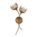 Savoy House - Two Light Wall Sconce - Protea - Manchester- Union Lighting Luminaires Decor