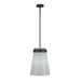 Artcraft Canada - One Light Pendant - Dahlia - Black- Union Lighting Luminaires Decor