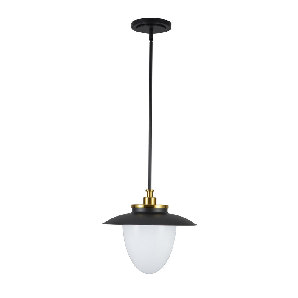 Artcraft Canada - One Light Pendant - Dahlia - Black- Union Lighting Luminaires Decor