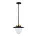 Artcraft Canada - One Light Pendant - Dahlia - Black- Union Lighting Luminaires Decor