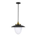 Artcraft Canada - Three Light Pendant - Dahlia - Brushed Brass- Union Lighting Luminaires Decor