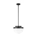 Artcraft Canada - One Light Pendant - Dahlia - Black- Union Lighting Luminaires Decor