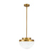 Artcraft Canada - One Light Pendant - Dahlia - Brushed Brass- Union Lighting Luminaires Decor