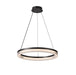 Artcraft Canada - LED Pendant - Ari - Black- Union Lighting Luminaires Decor