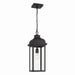 Artcraft Canada - One Light Outdoor Pendant - Madrid - Black- Union Lighting Luminaires Decor