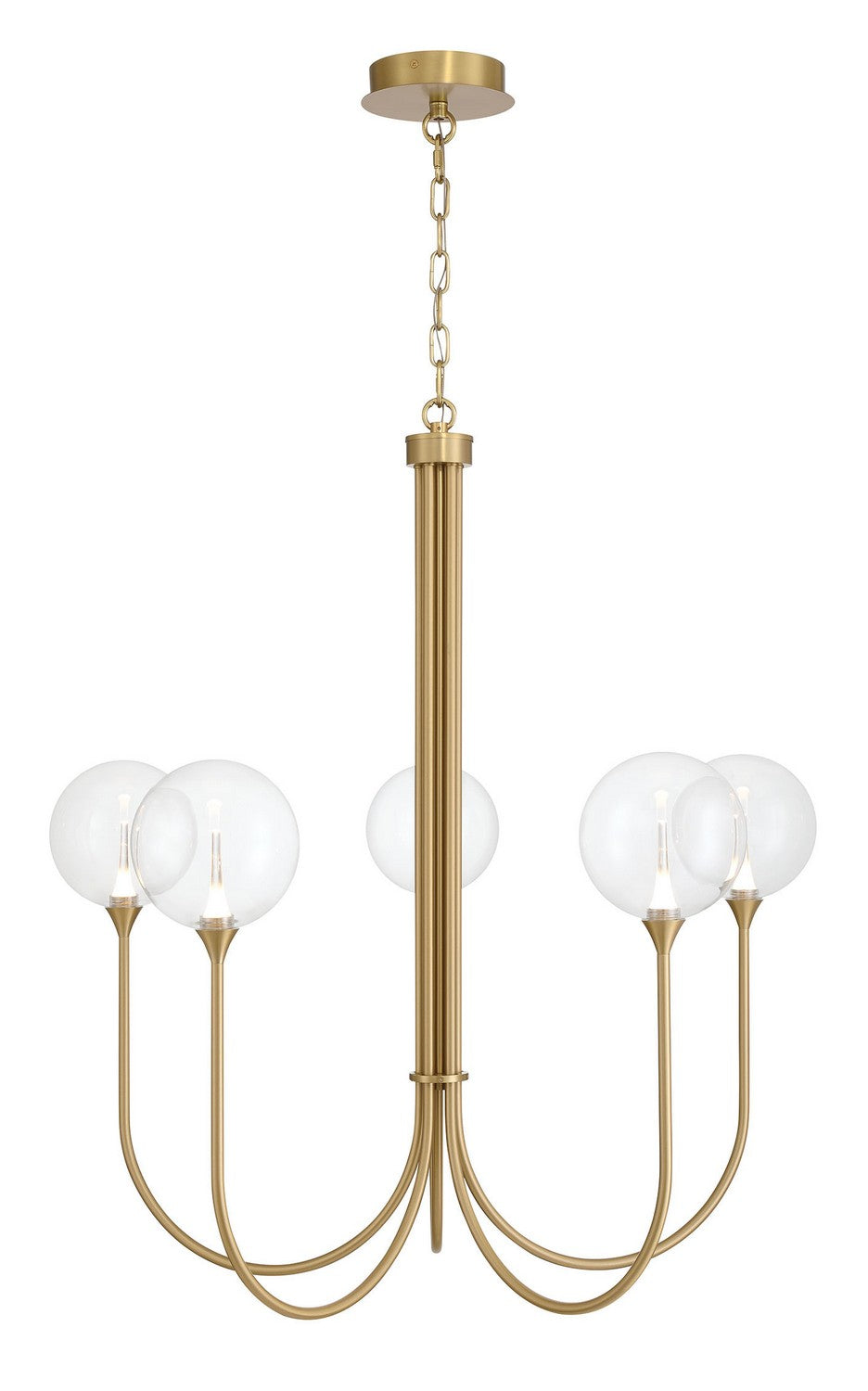 Eurofase Canada - Five Light Chandelier - Gold- Union Lighting Luminaires Decor