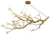 Bethel International Canada - 18 Light Chandelier - Brass- Union Lighting Luminaires Decor