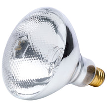 Satco Canada - Light Bulb - Clear Heat- Union Lighting Luminaires Decor