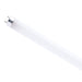 Satco Canada - Light Bulb - Gloss White- Union Lighting Luminaires Decor