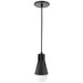 Dainolite Canada - One Light Pendant - Fortuna - Matte Black- Union Lighting Luminaires Decor