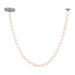 Alora Canada - LED Pendant - Akoya - Chrome- Union Lighting Luminaires Decor