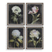 Uttermost - Framed Prints, Set/4 - Florals On Black - Dark Brown- Union Lighting Luminaires Decor