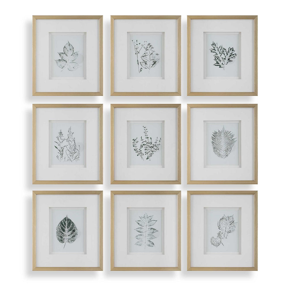 Uttermost - Framed Botanical Prints Set/9 - Nature's - Gold- Union Lighting Luminaires Decor
