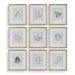 Uttermost - Framed Botanical Prints Set/9 - Nature's - Gold- Union Lighting Luminaires Decor