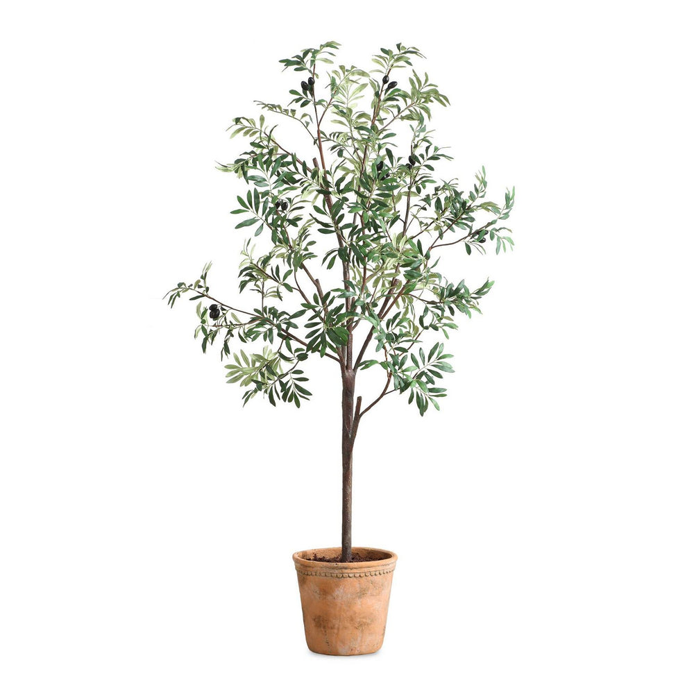 Uttermost - Tree - Olea - Terracotta- Union Lighting Luminaires Decor