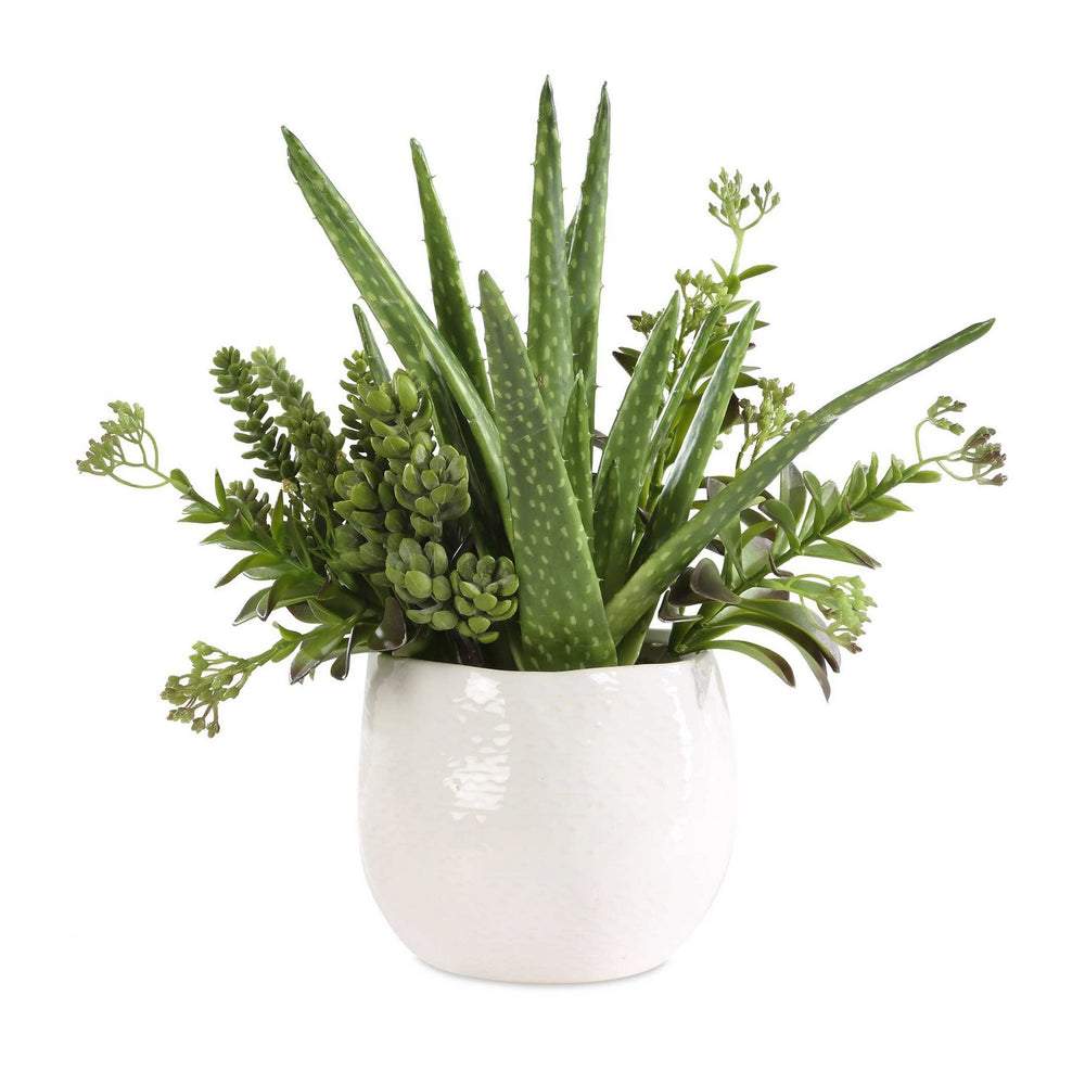 Uttermost - Planter - Sundown Succulent - Gloss White- Union Lighting Luminaires Decor