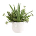Uttermost - Planter - Sundown Succulent - Gloss White- Union Lighting Luminaires Decor