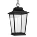 Visual Comfort Studio Canada - LED Hanging Lantern - Warren - Textured Black- Union Lighting Luminaires Decor