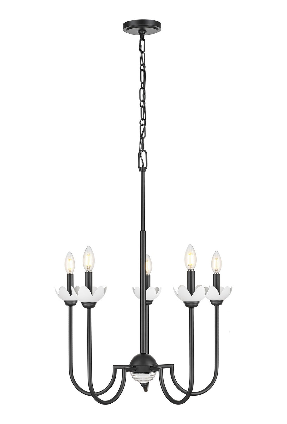 Z-Lite Canada - Five Light Chandelier - Allistair - Matte Black- Union Lighting Luminaires Decor