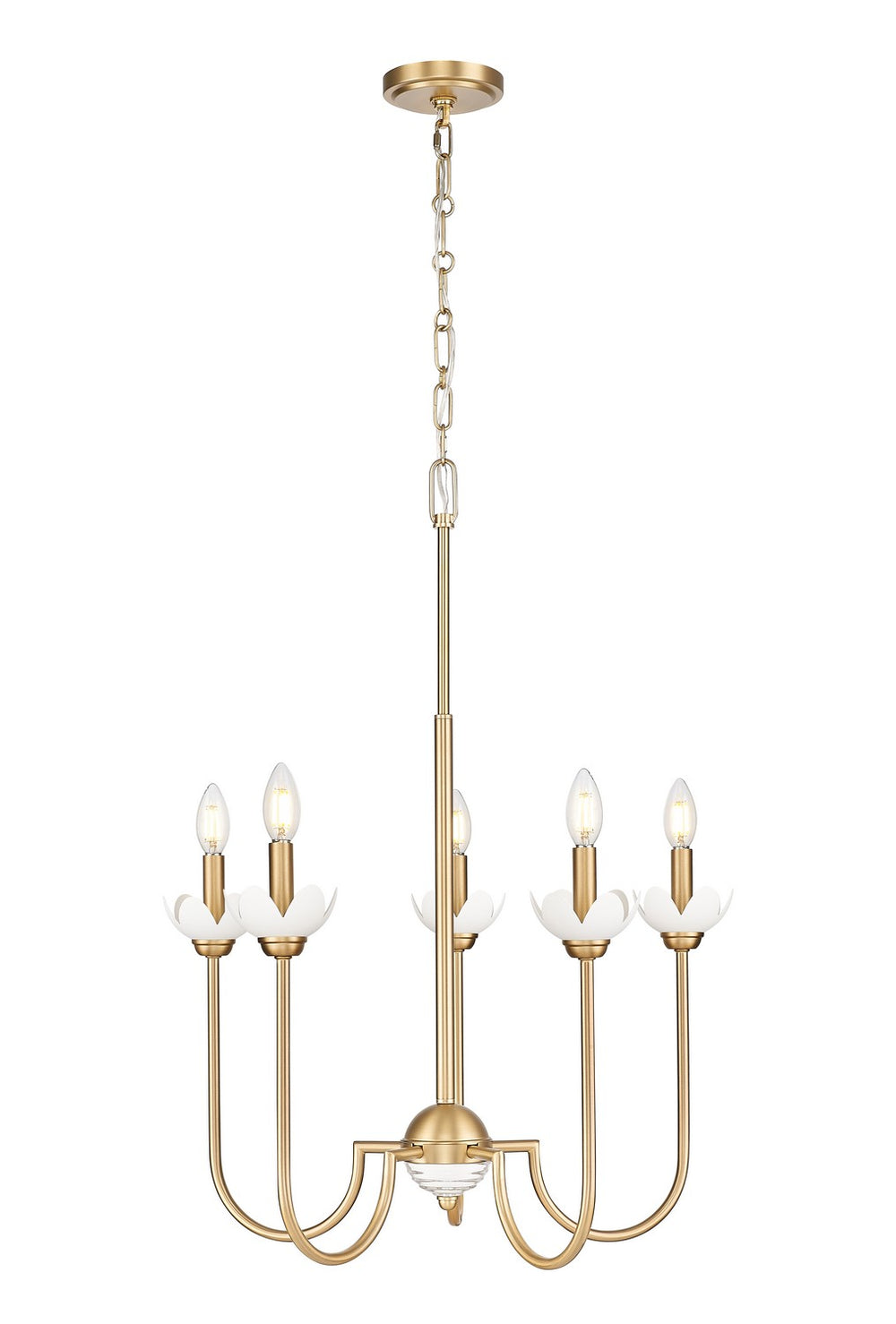 Z-Lite Canada - Five Light Chandelier - Allistair - Modern Gold- Union Lighting Luminaires Decor