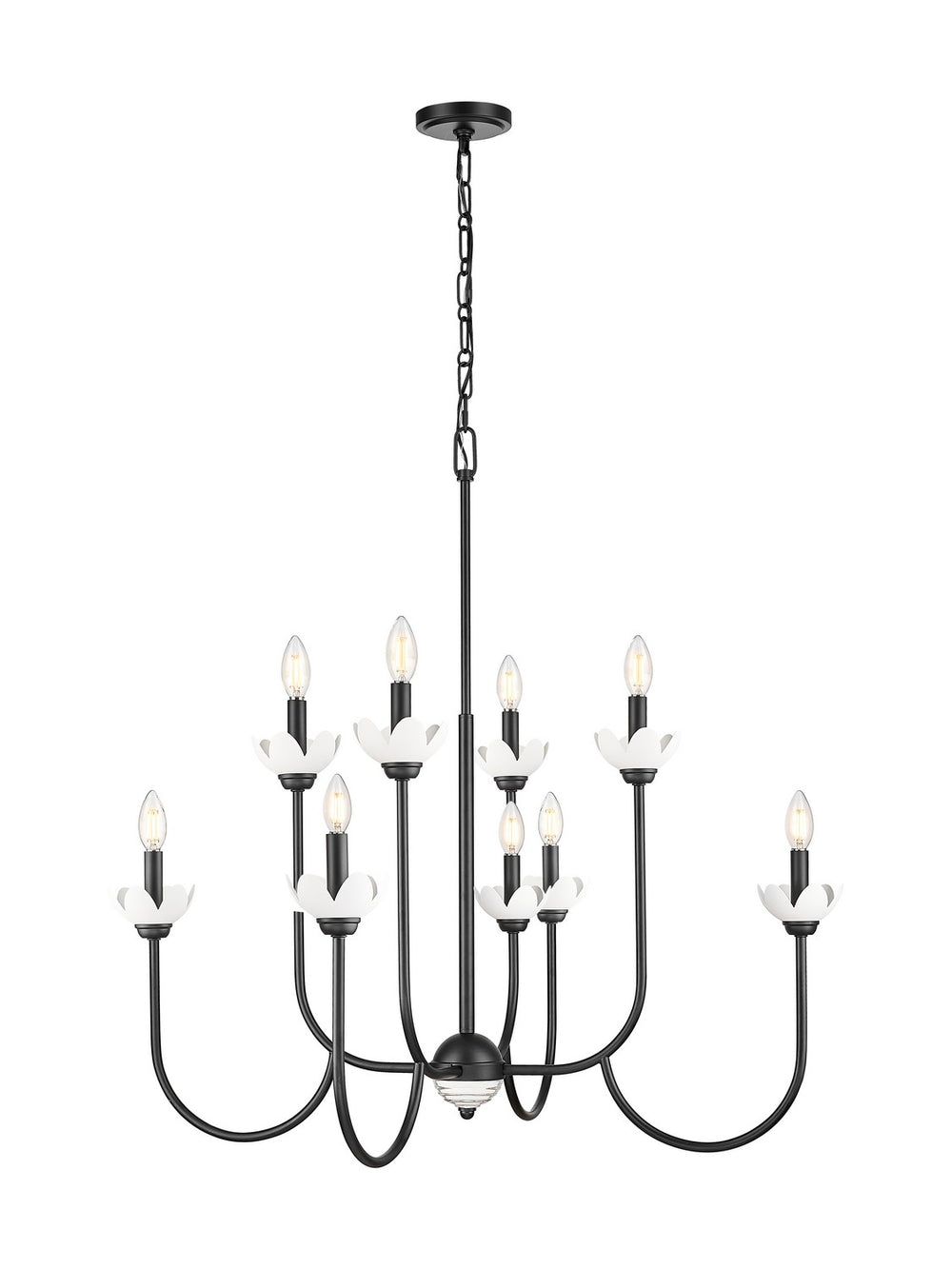 Z-Lite Canada - Eight Light Chandelier - Allistair - Matte Black- Union Lighting Luminaires Decor