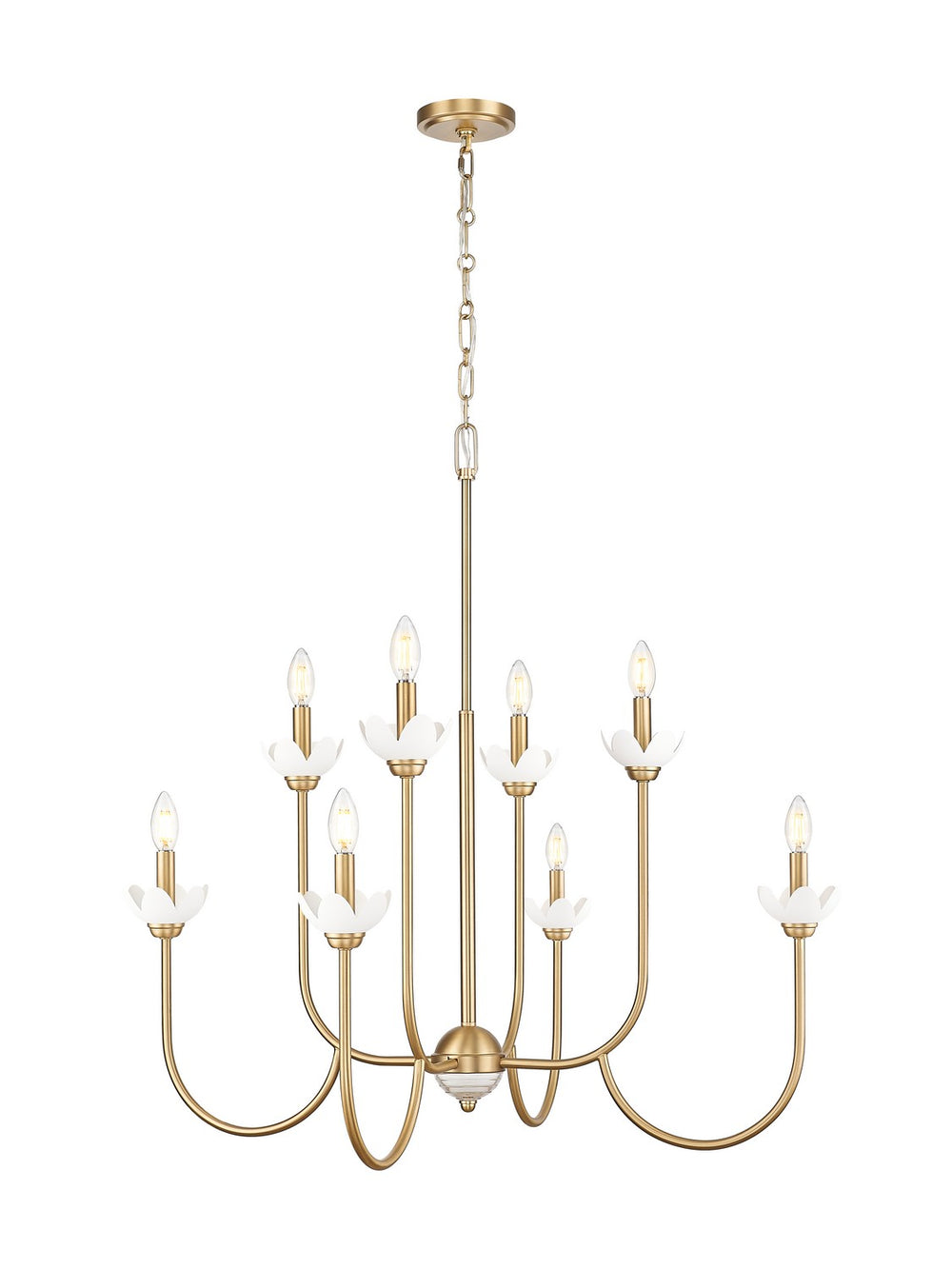 Z-Lite Canada - Eight Light Chandelier - Allistair - Modern Gold- Union Lighting Luminaires Decor