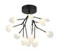Matteo Canada - 12 Light Ceiling Mount - Hydrangea Bloom - Matte Black- Union Lighting Luminaires Decor