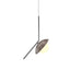 Accord Lighting - One Light Pendant - Oyster - American Walnut- Union Lighting Luminaires Decor
