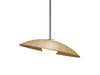 Accord Lighting - One Light Pendant - Oyster - Louro Freijo- Union Lighting Luminaires Decor