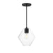 Maxim - One Light Pendant - Geode - Black- Union Lighting Luminaires Decor