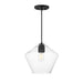 Maxim - One Light Pendant - Geode - Black- Union Lighting Luminaires Decor