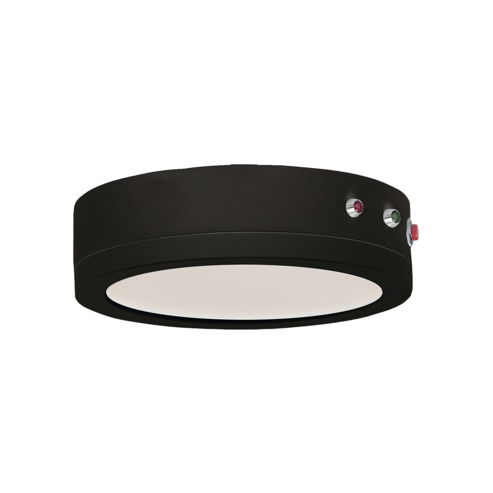 Maxim - LED Surface Mount - Wafer - Black- Union Lighting Luminaires Decor